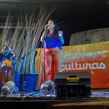 descarga