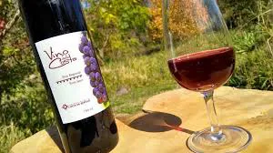 vino