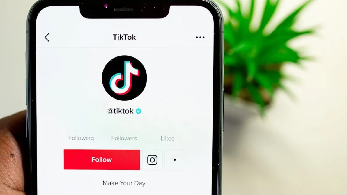 perfil-de-tiktok