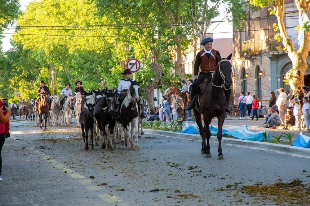 588533537_1174737434758157_7567942243941556775_n