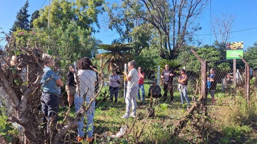 huerta_en_casa_se_entregaran_semillas_de_la_temporada_primavera-verano_1