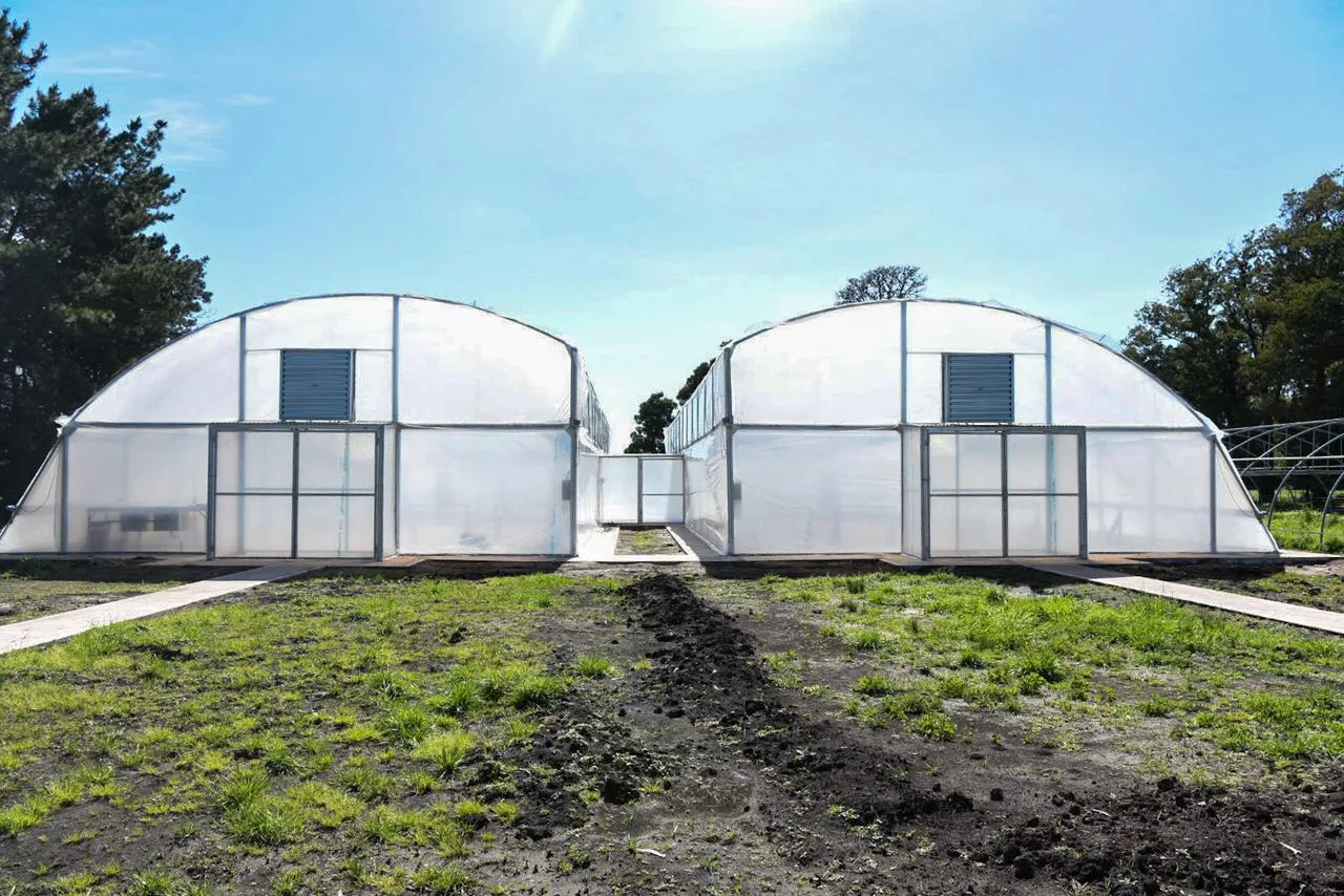 WhatsApp Image 2025-10-07 at 19.40.25