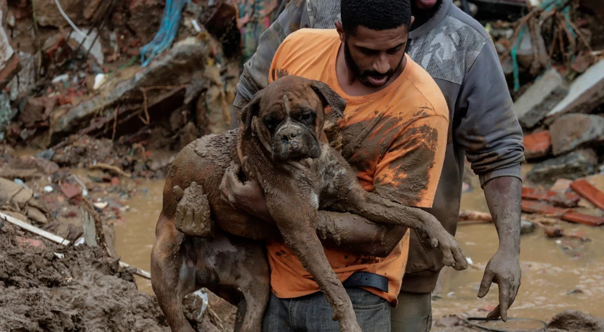 diariobonaerense.com.ar