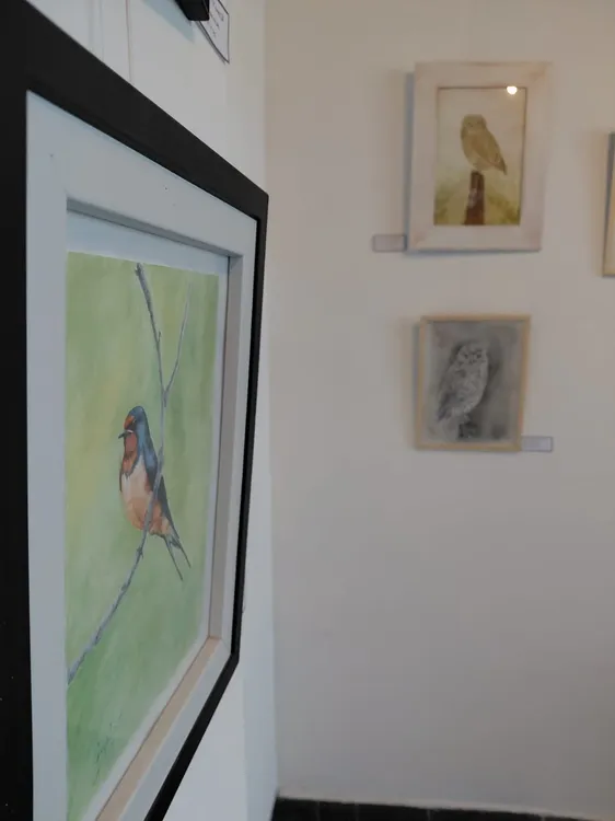 WhatsApp Image 2026-02-20 at 13.35.11