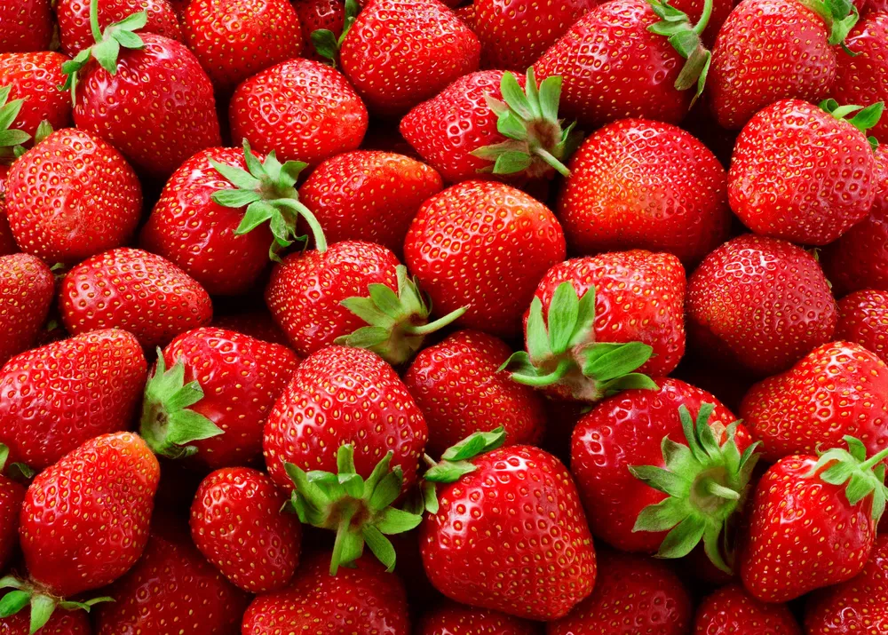 frutillas