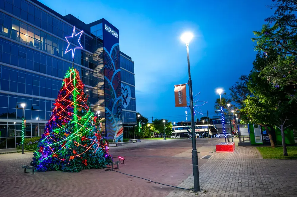 Berazategui ya luce su tradicional árbol navideño sustentable 2