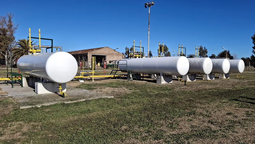 Imagen de WhatsApp 2025-08-09 a las 12.32.07_88c003cd