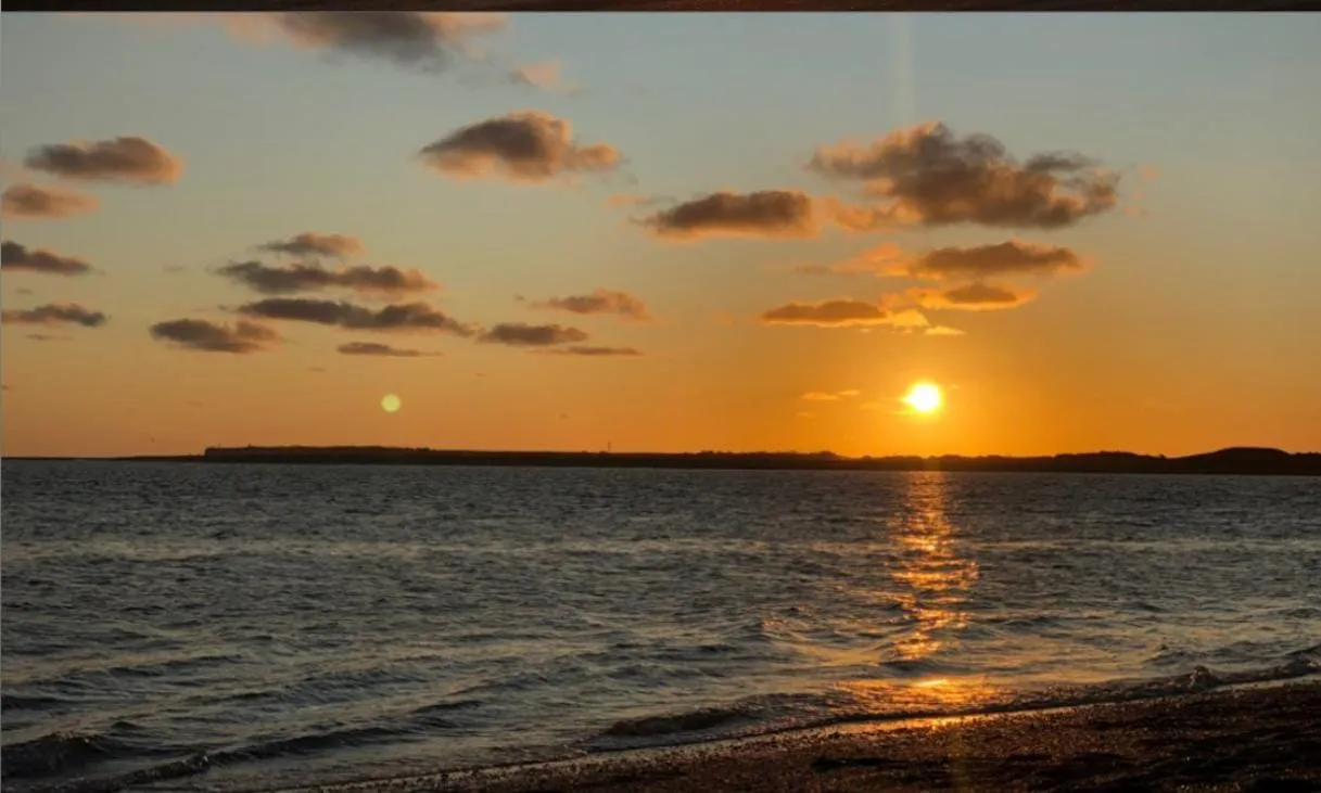 WhatsApp Image 2026-01-16 at 13.24.10