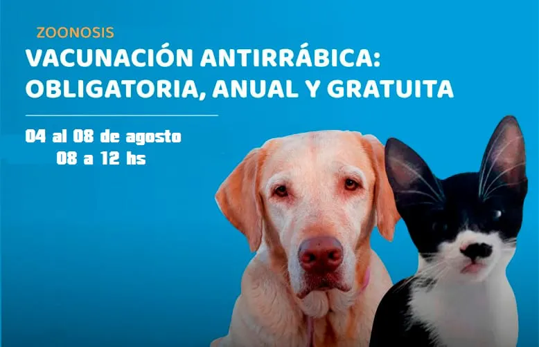 Imagen de WhatsApp 2025-08-04 a las 12.08.04_7dc68e69