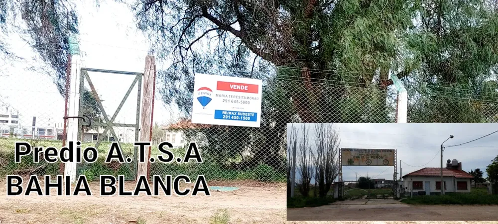 WhatsApp Image 2024-09-30 at 10.43.32