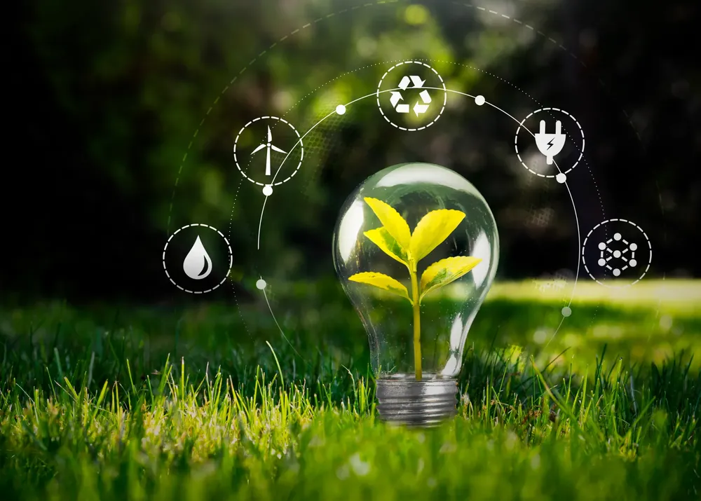 Taller de Compromiso Sustentable