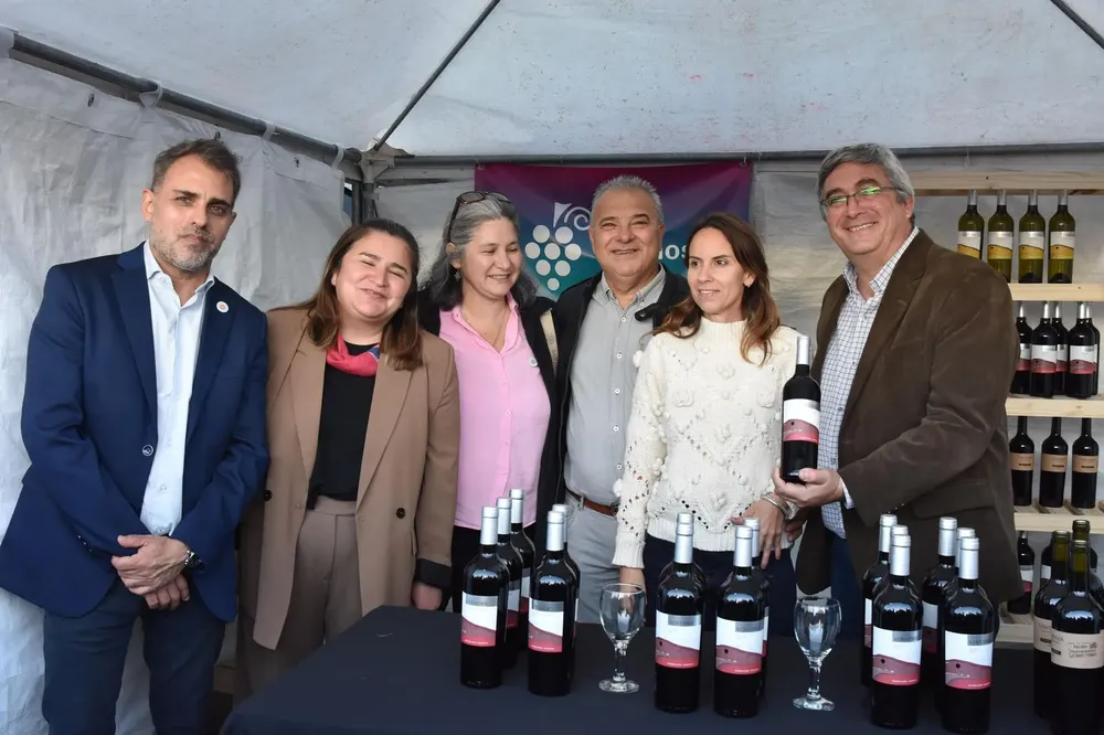 WhatsApp Image 2025-04-14 at 07.11.39 (2)