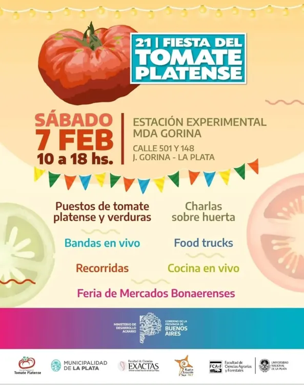 tomate 2