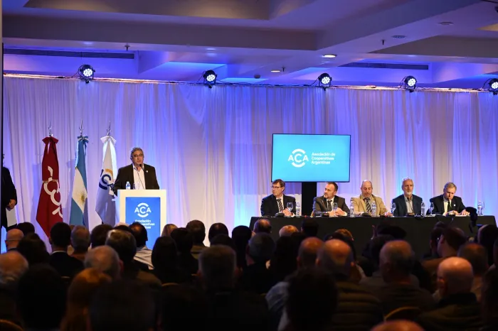 WhatsApp Image 2025-10-31 at 14.14.00