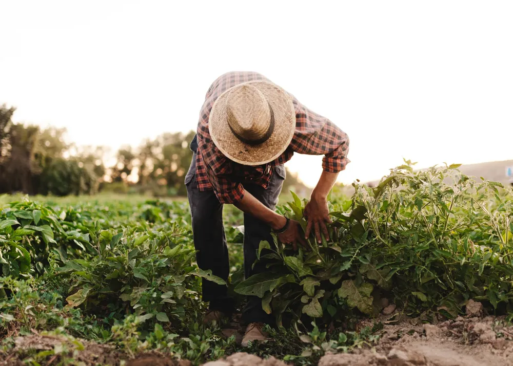 8.9 Día del Agricultor