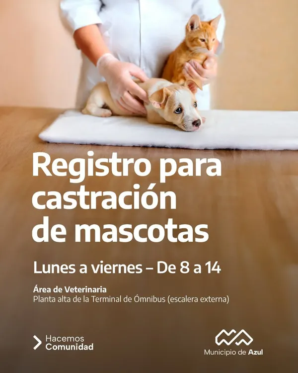 584565067_1237554458408553_1055327888171890123_n