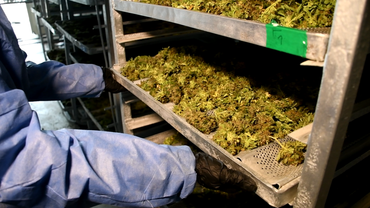 Secadero-2-e1733546420470