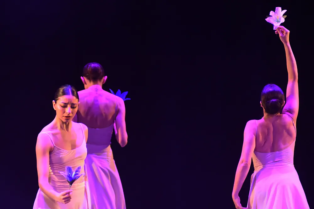 Flores para una elegía 6