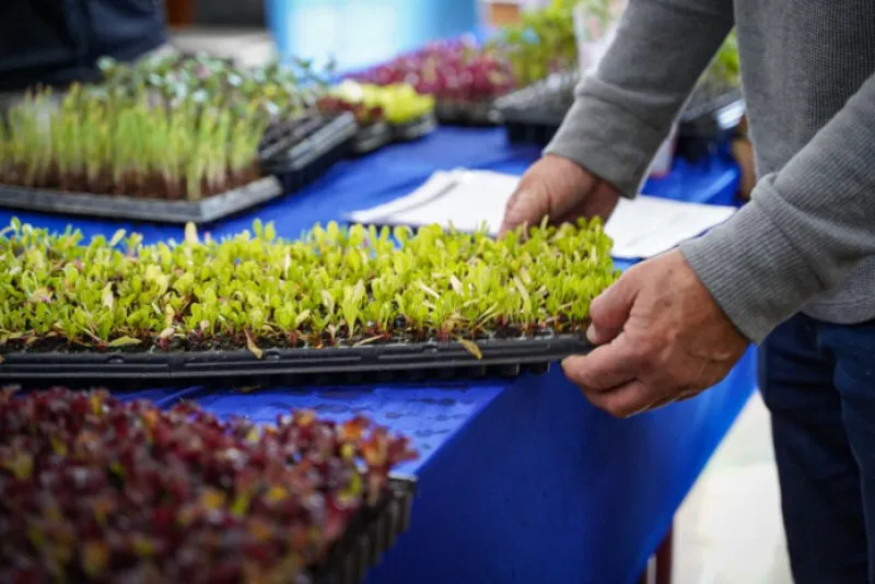 huerta-urbana-696x465