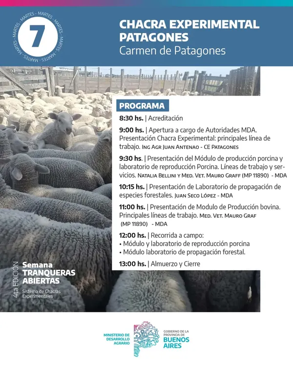 Imagen de WhatsApp 2025-10-02 a las 13.11.34_be037bc5