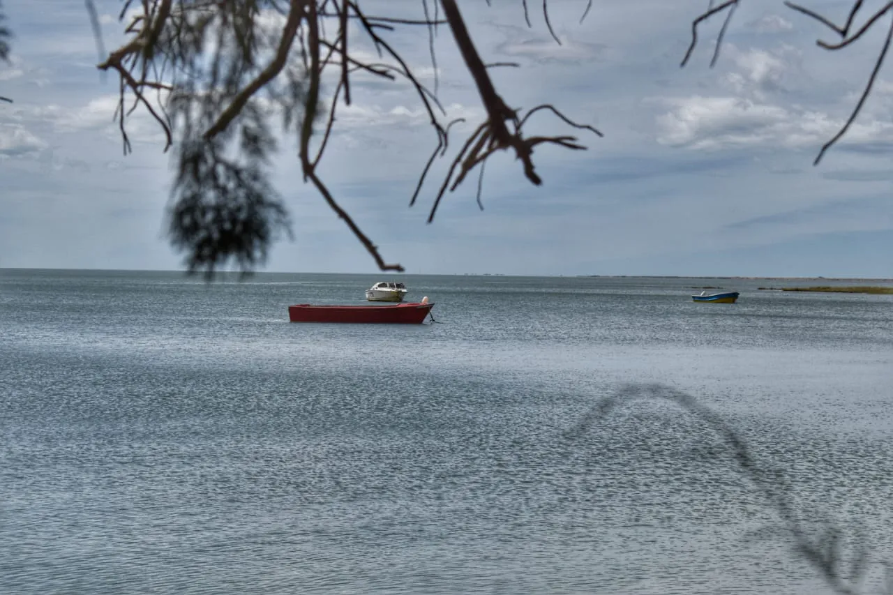 WhatsApp Image 2026-01-12 at 13.30.20 (1)