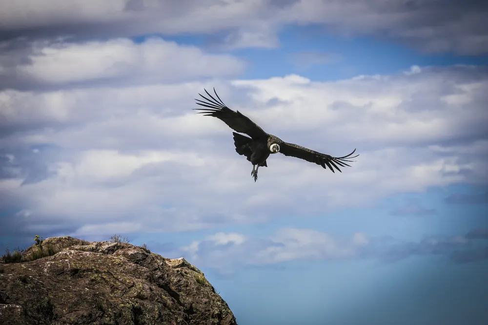 Salto-scaled