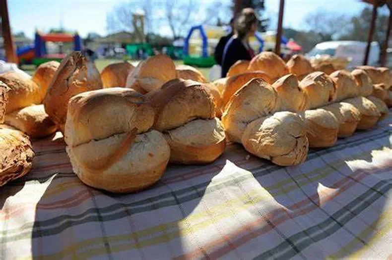 galleta de campo