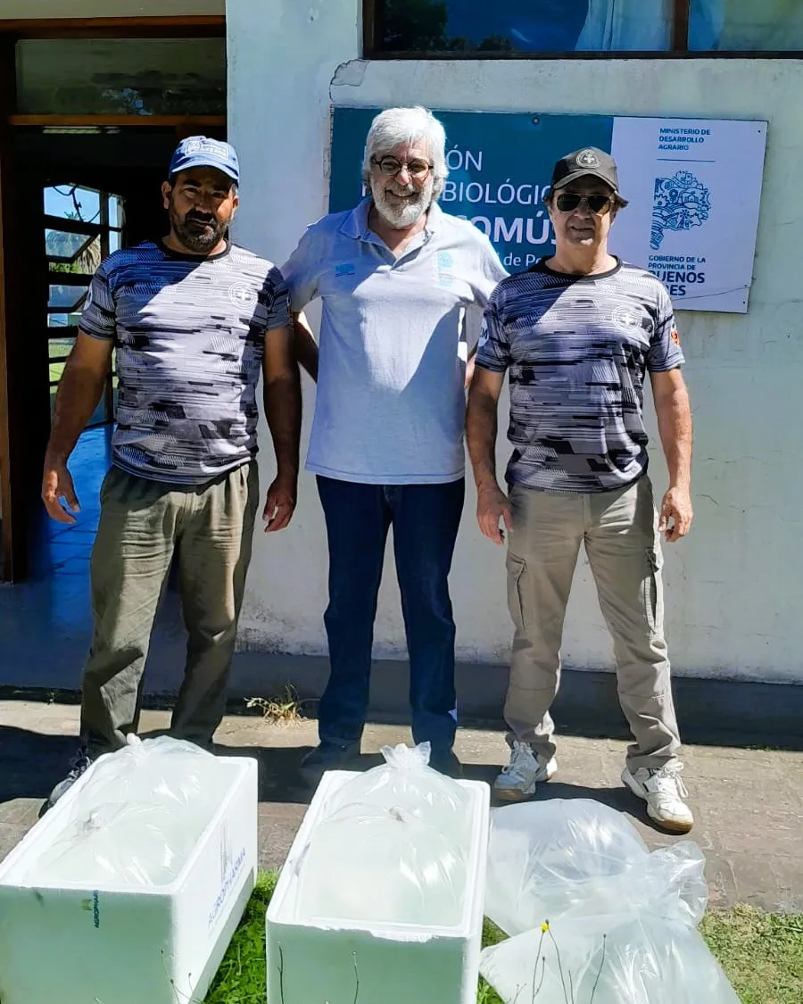 597381451_1163512025953015_6399214148869115147_n