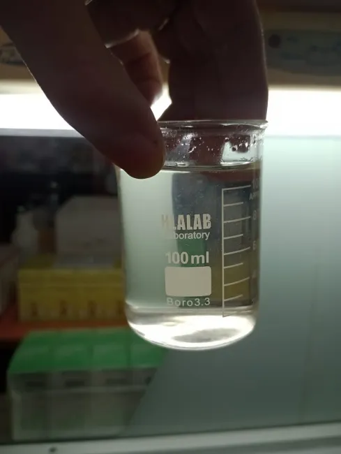 WhatsApp Image 2025-12-23 at 10.18.34