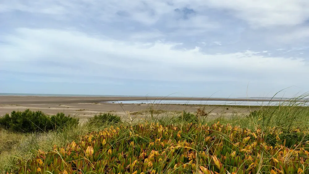 WhatsApp Image 2026-01-16 at 13.24.10 (1)