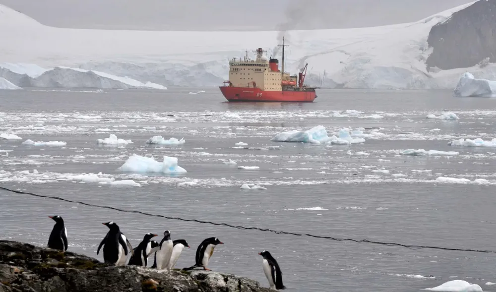 05campana_antartica_de_verano_cav_202526