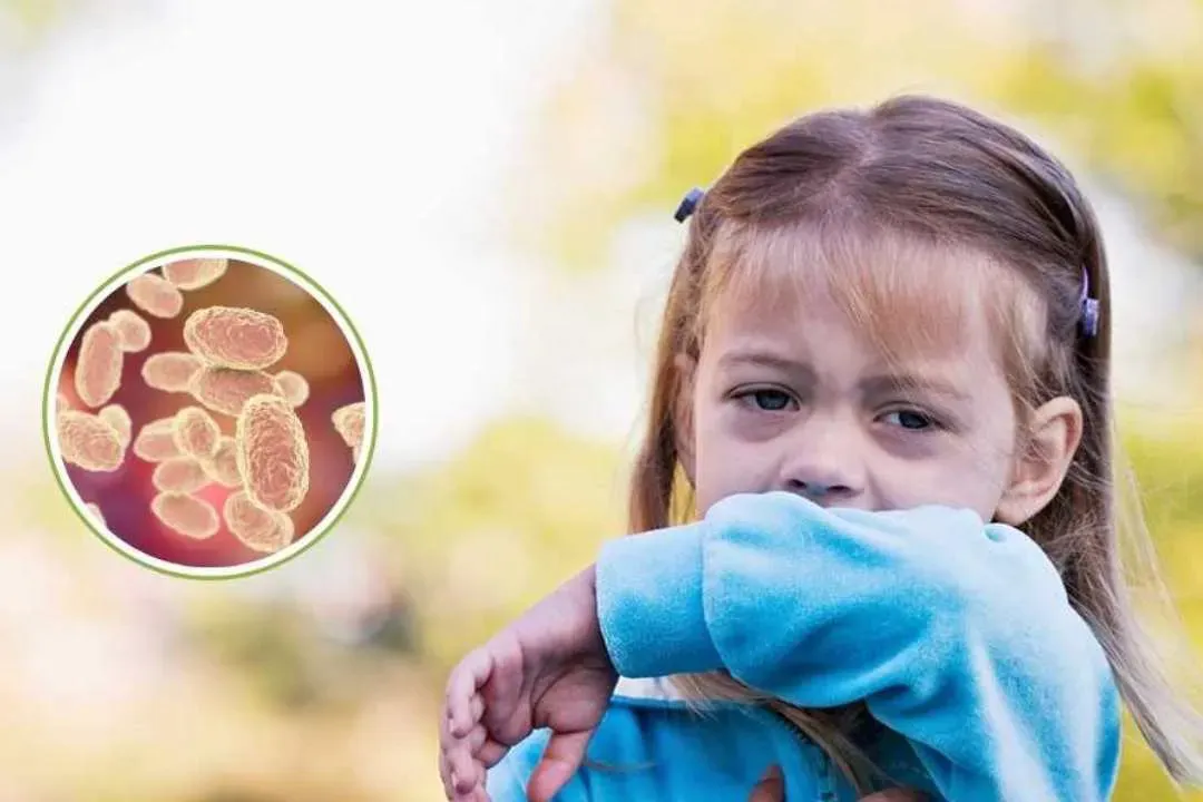 Imagen de WhatsApp 2025-11-18 a las 08.26.10_fda51a1b