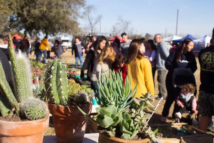 whatsapp_image_2022-07-12_at_10.54.36_am_1