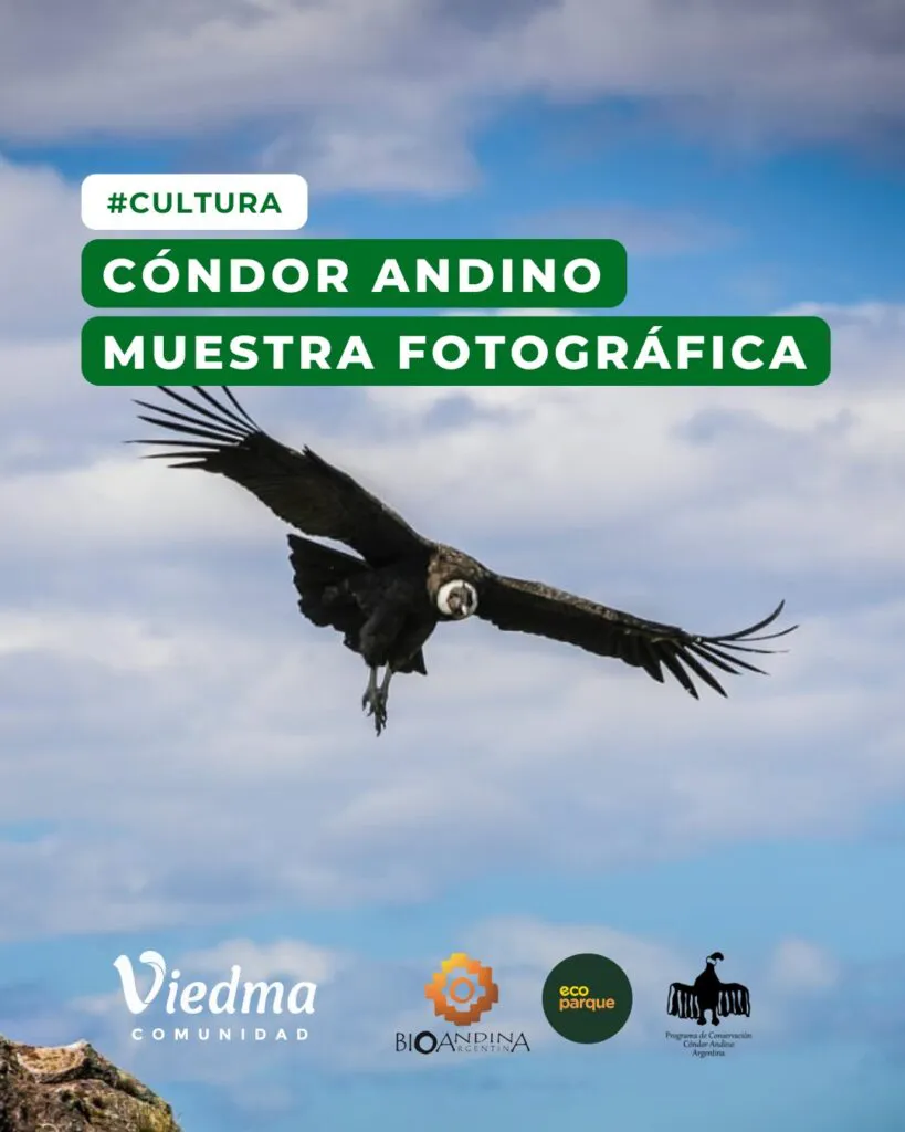 WhatsApp-Image-2025-08-11-at-19.03.22-1-819x1024