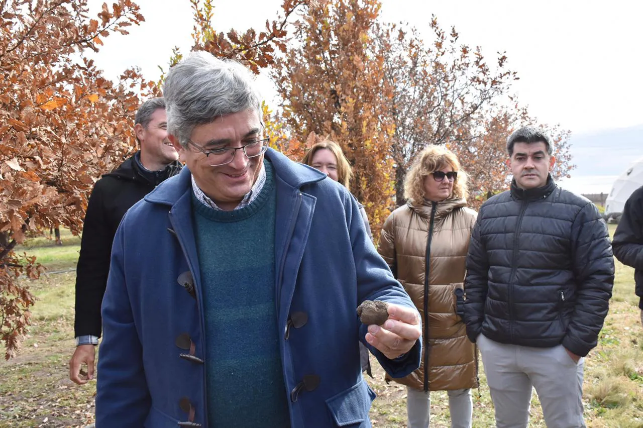 WhatsApp Image 2025-06-23 at 07.21.25 (2)