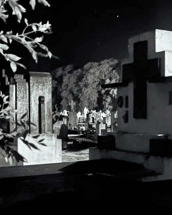 619440175_1307901408040513_2789894871569094530_n