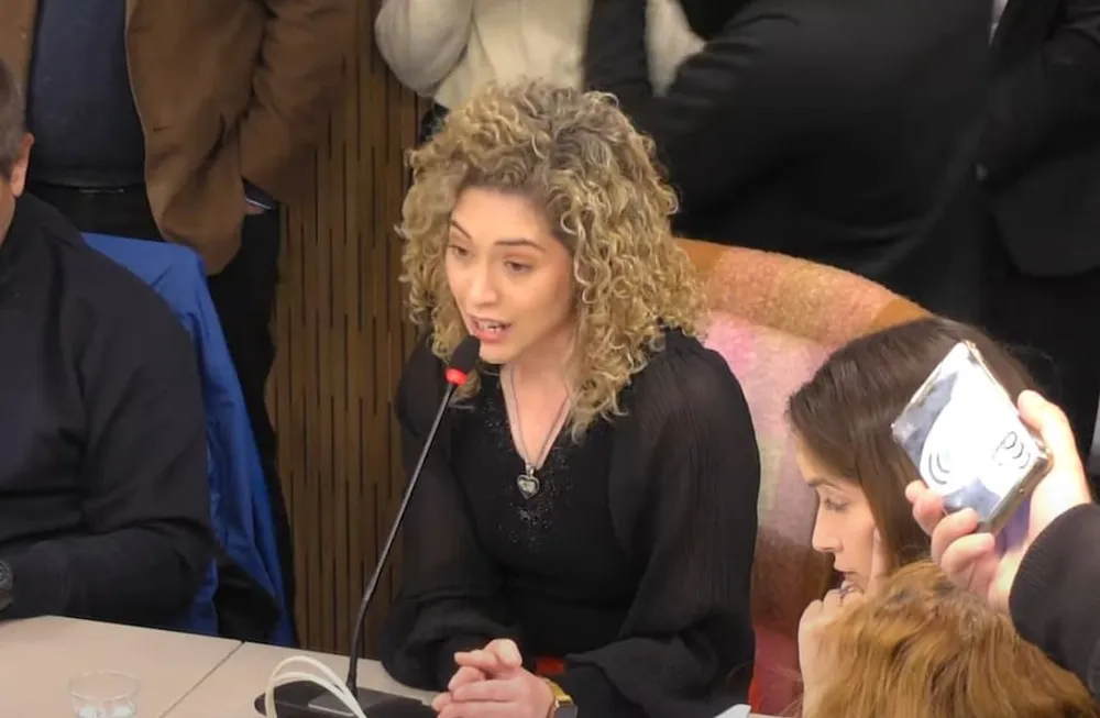 la-diputada-nacional-lourdes-arrieta-foto-captura-youtube-camara-diputados-la-nacion