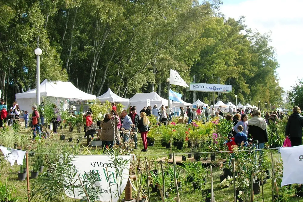 expo-cazon