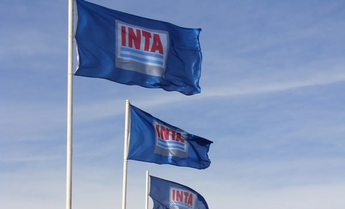 inta