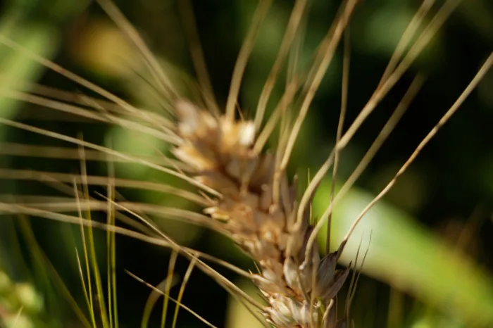 WhatsApp Image 2025-12-30 at 10.38.23