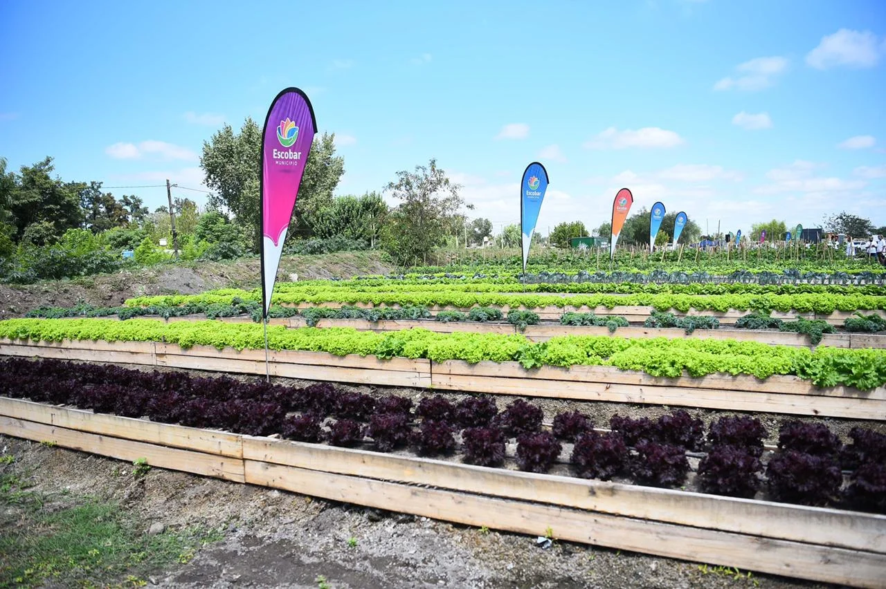 huerta agroecológica