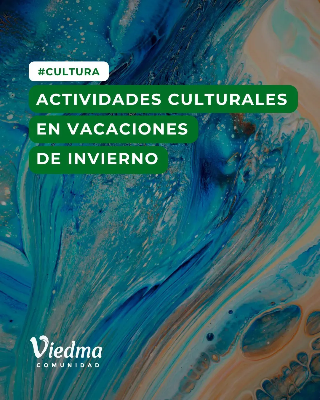 multimedia.normal.ab5e9c5c22fefa