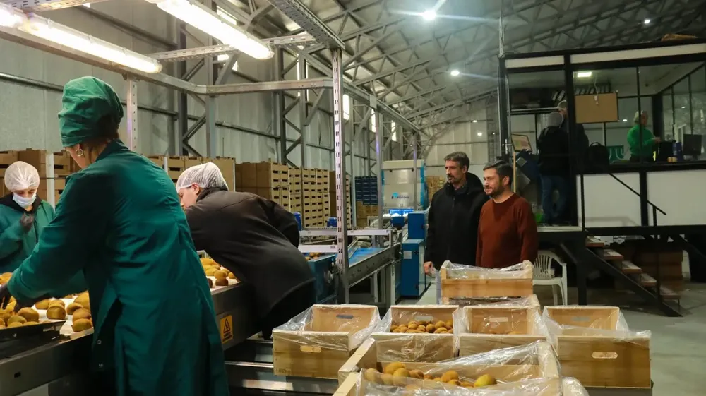 MGA - Visita Planta Kiwi - 14 Mayo 2025 (1)