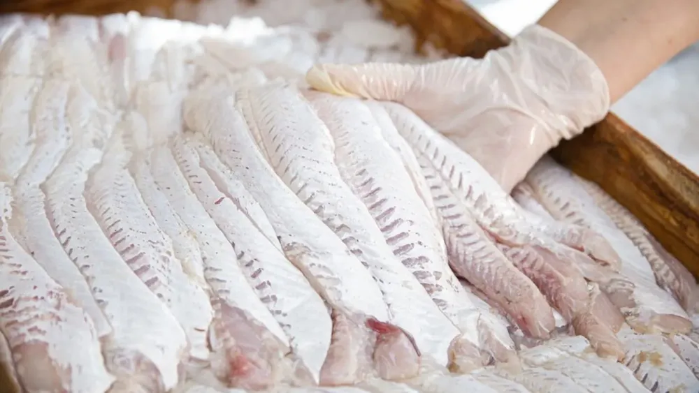 es-clave-que-el-filet-de-merluza-este-fresco-en-el-momento-de-consumirlo-BZR3OVY6GRA45BDYJ732NDB73Q