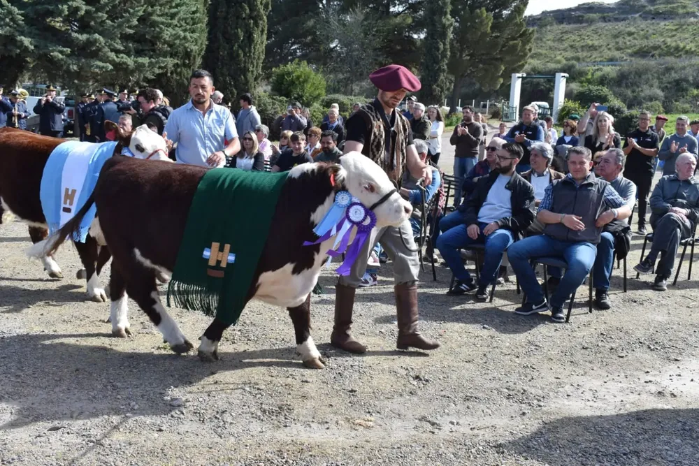 Imagen de WhatsApp 2025-09-14 a las 15.05.30_30795274