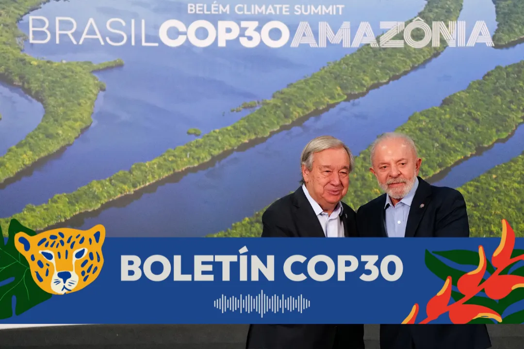 image-1200-aa3bc35c9f9f965fb5ff12045515244b