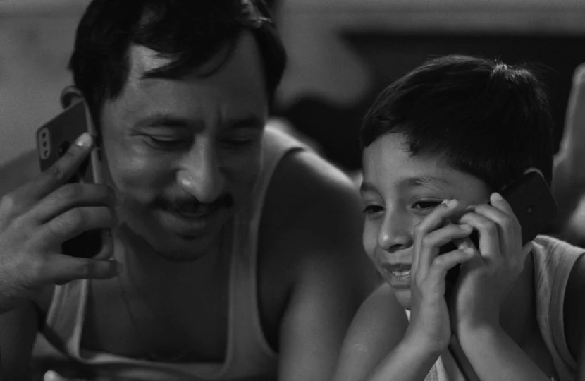 MOSCAS BAJA MUBI 5