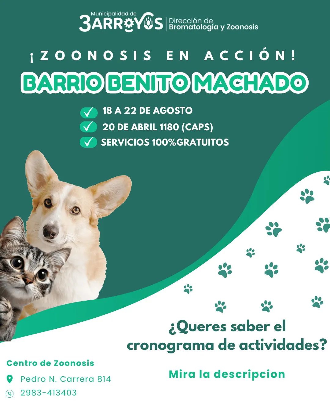 Imagen de WhatsApp 2025-08-18 a las 07.38.25_8296a10e