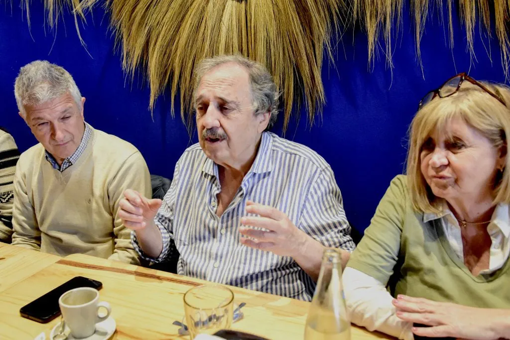 cassese y alfonsin
