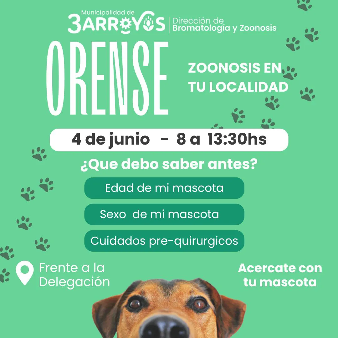 Imagen de WhatsApp 2025-05-30 a las 14.44.42_b3557bba